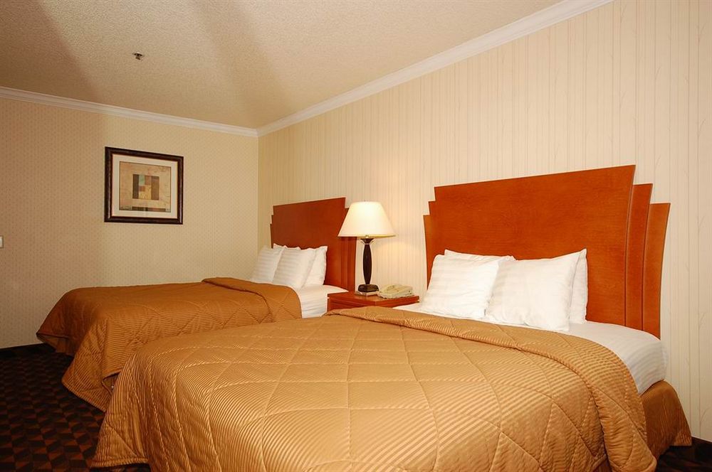 Quality Inn & Suites Los Angeles Airport - Lax Inglewood Exteriör bild